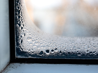 Condensation on window, mold from wet house.